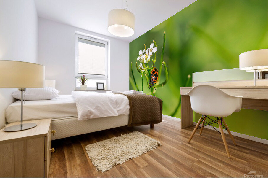 Firebug  on a Flower Mural print