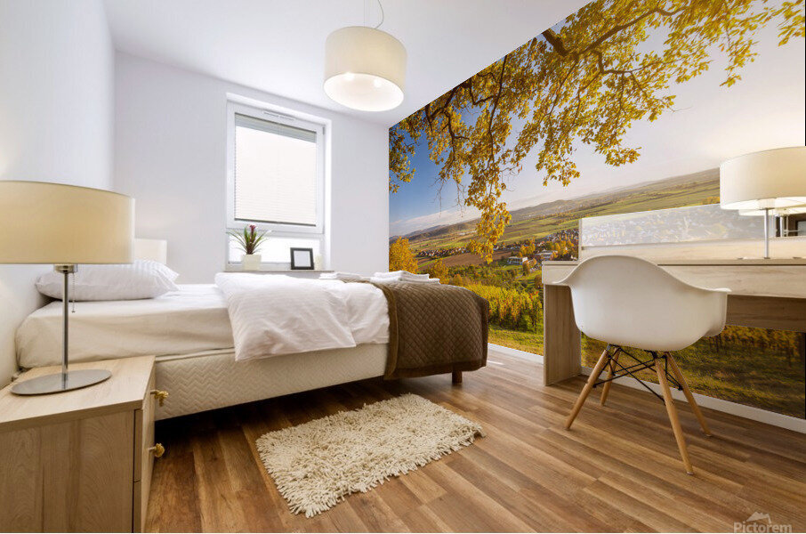 Vineyard at Sunset Mural print