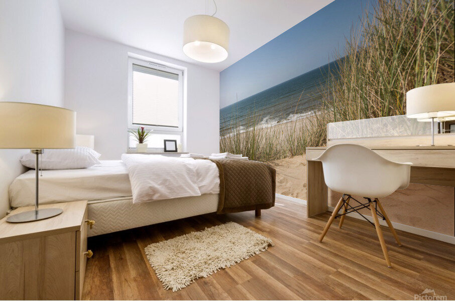 Dune Panorama Mural print