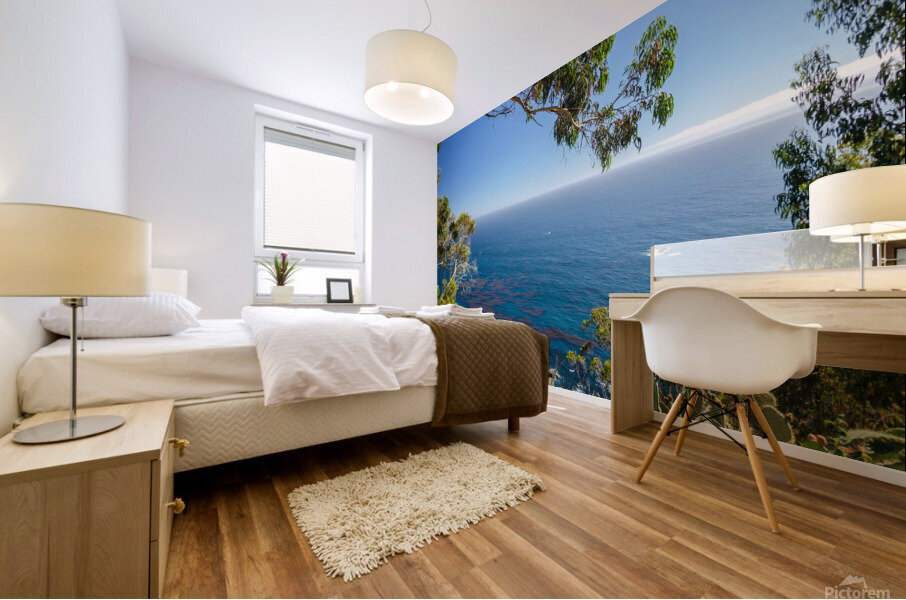 Pacific in California Mural print
