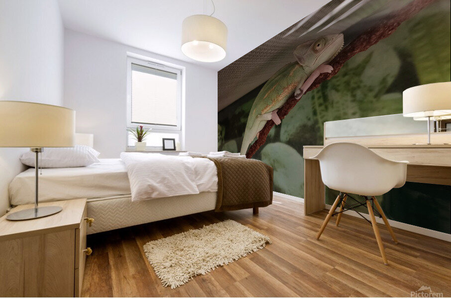 Chameleon Mural print