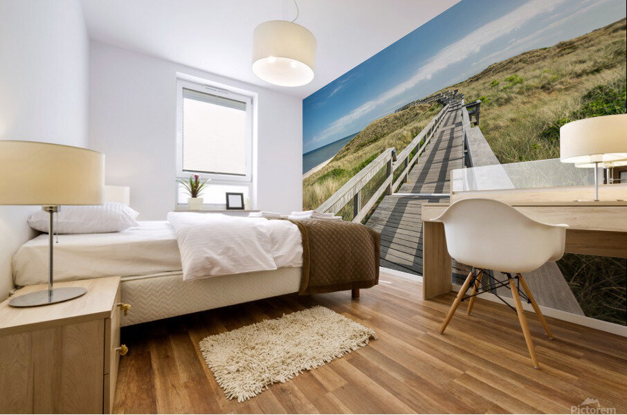 Talk a Walk in the Dunes Mural print