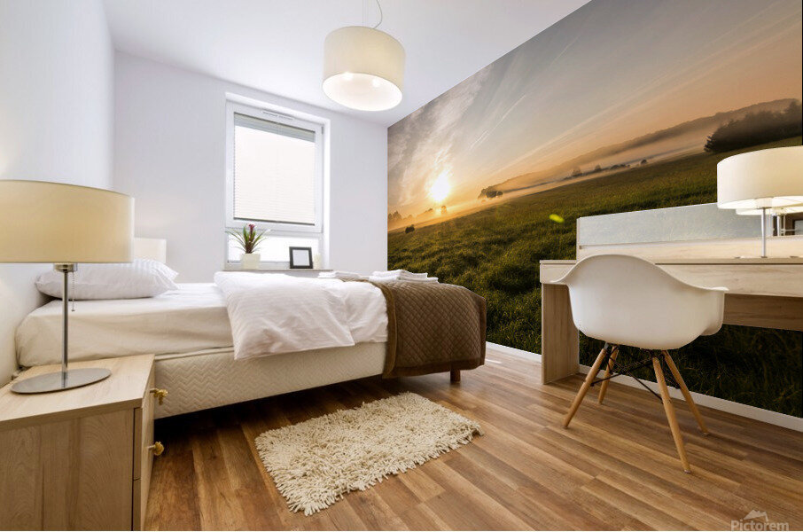 Sunrise in the Country Mural print