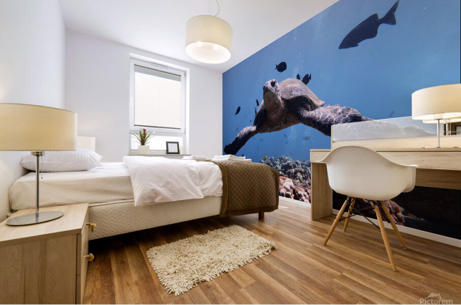 5E708647 1646 43F3 AD3A C27B9B262FC0 Mural print