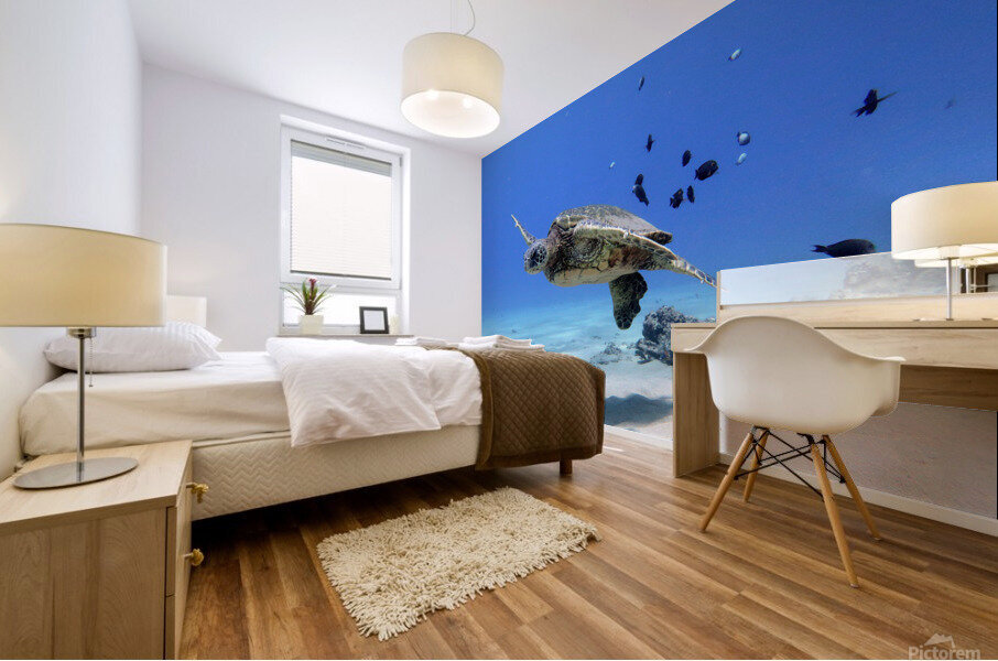 40D024B5 100E 4E9B A718 750A553A6ACD Mural print