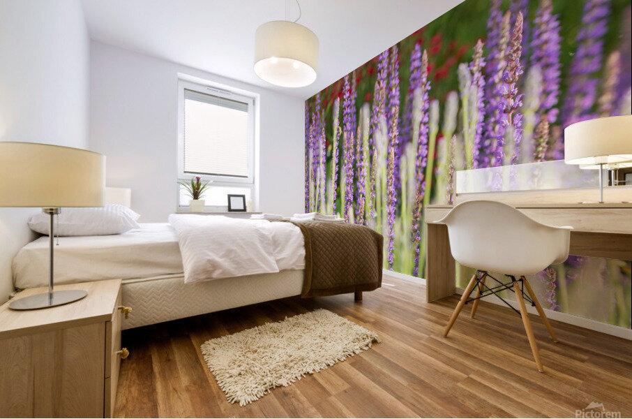 Lavender Mural print