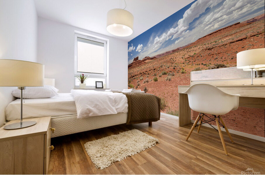 Red Desert Mural print