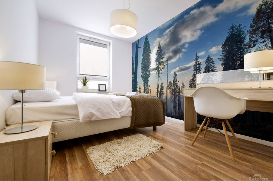 Sequoia and Kings Canyon National Park  Mural print
