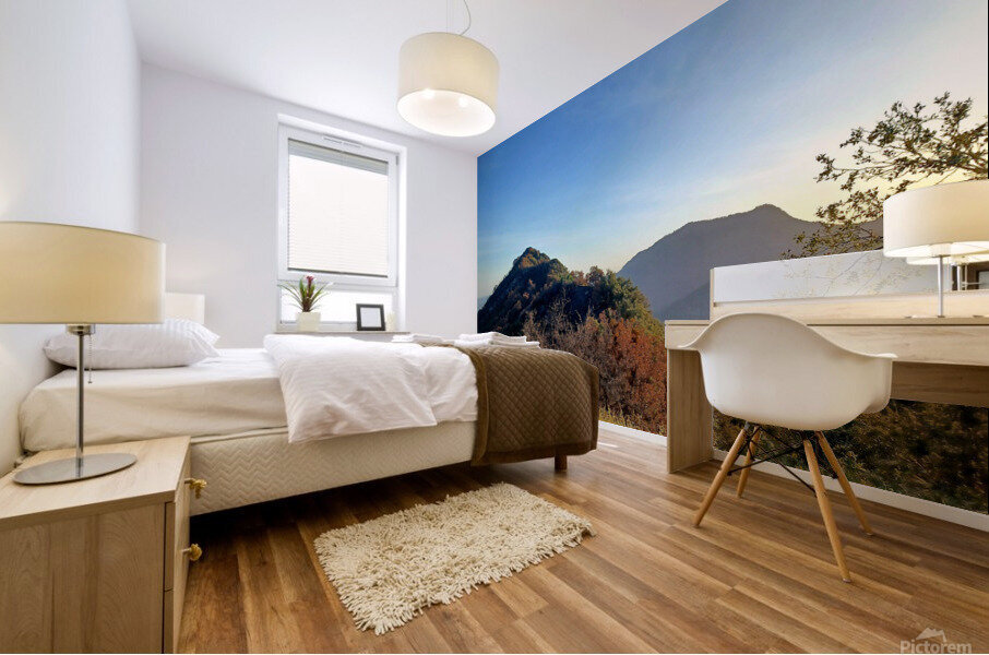 Hwy 198 Sequoia and Kings Canyon National Park  Mural print