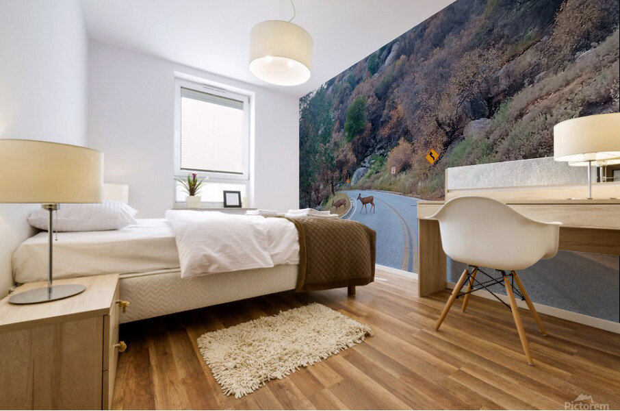 Deer 2 Mural print