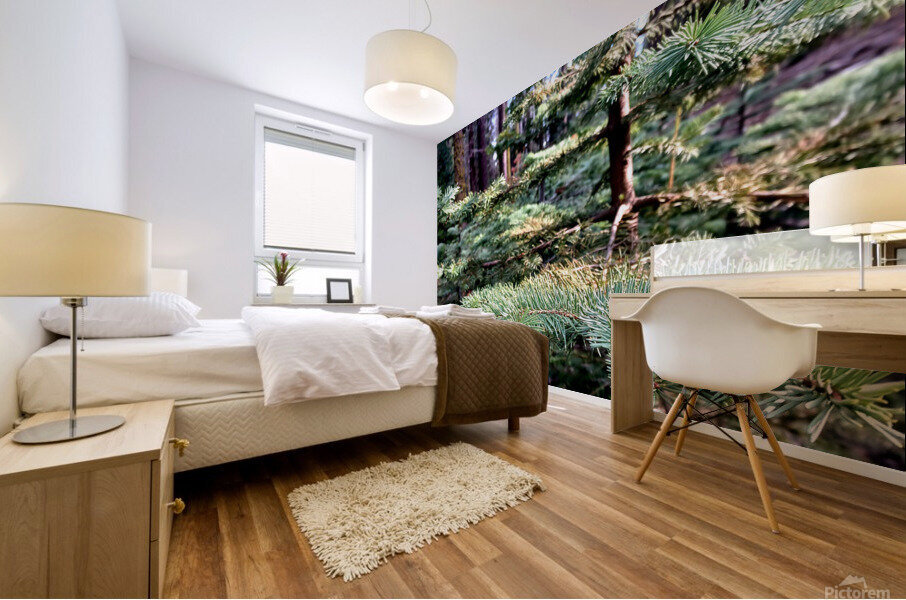 Inside a baby giant tree Mural print