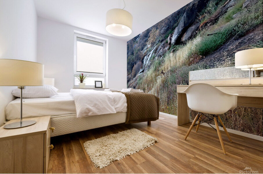 Deer 3 Mural print
