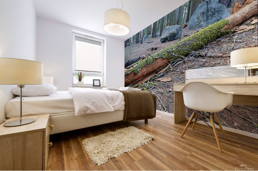 Moss Mural print