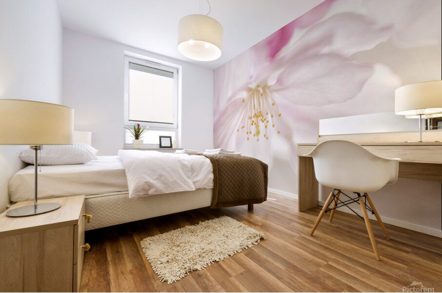 Fleur de cerisier  |  Cherry Blossom Impression murale