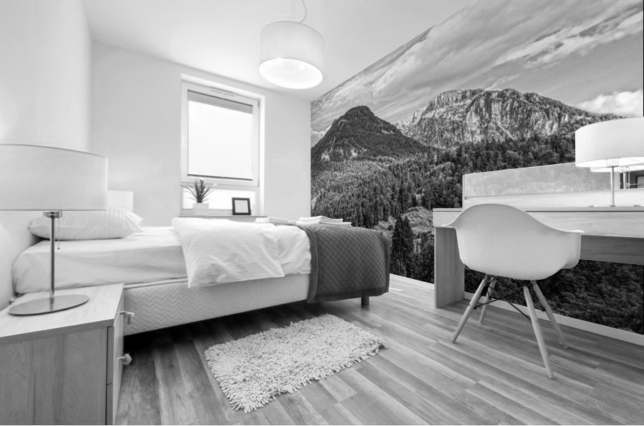 BW Lost in a Dream of Bavaria 2 of 3 Germany  Mural print