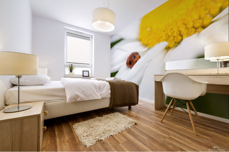 Ladybug on white petals of a flower Mural print