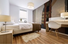 Richard Strauss Mural print