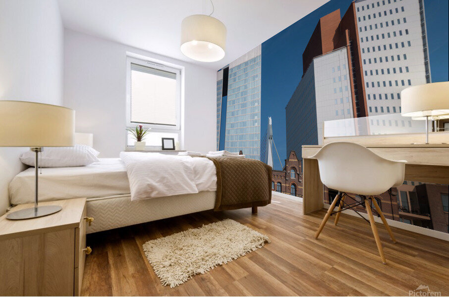 Classical and modern architecture in Rotterdam Mural print