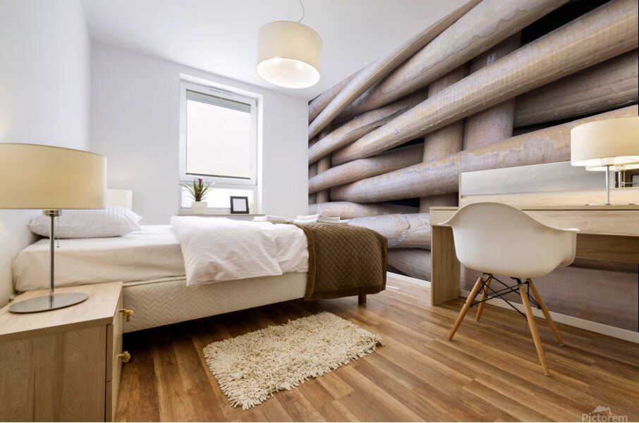 398739AB 84A0 4128 BB16 B4385DE17700 Mural print