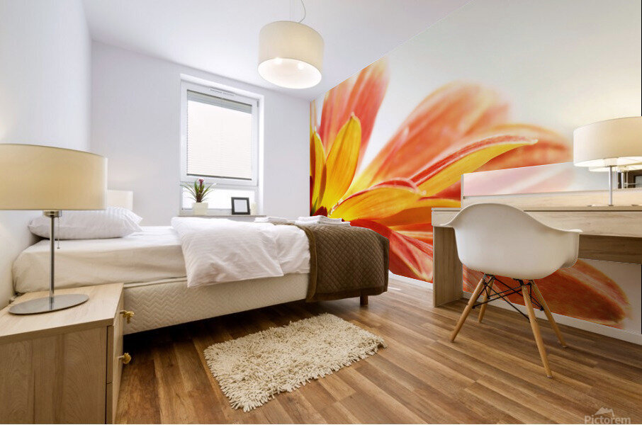 Daisy Petals Mural print