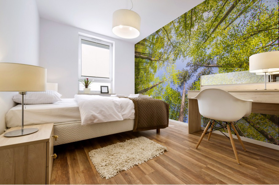 2022 April 17 Canopy01 Mural print
