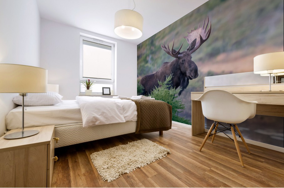 Bull Moose Gaze Mural print