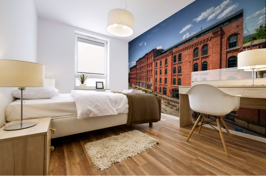 Kingsley warehouse in Binghamton NY Mural print