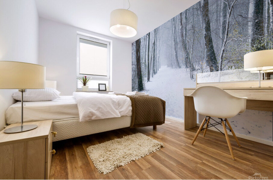 Path in a forest under the snow in winter Mural print