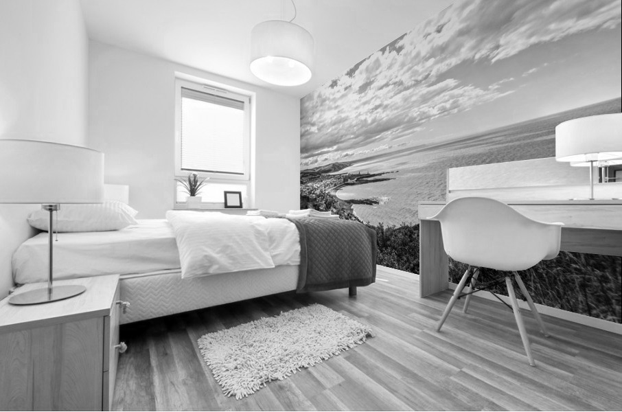 BW Scenic Wales Mural print