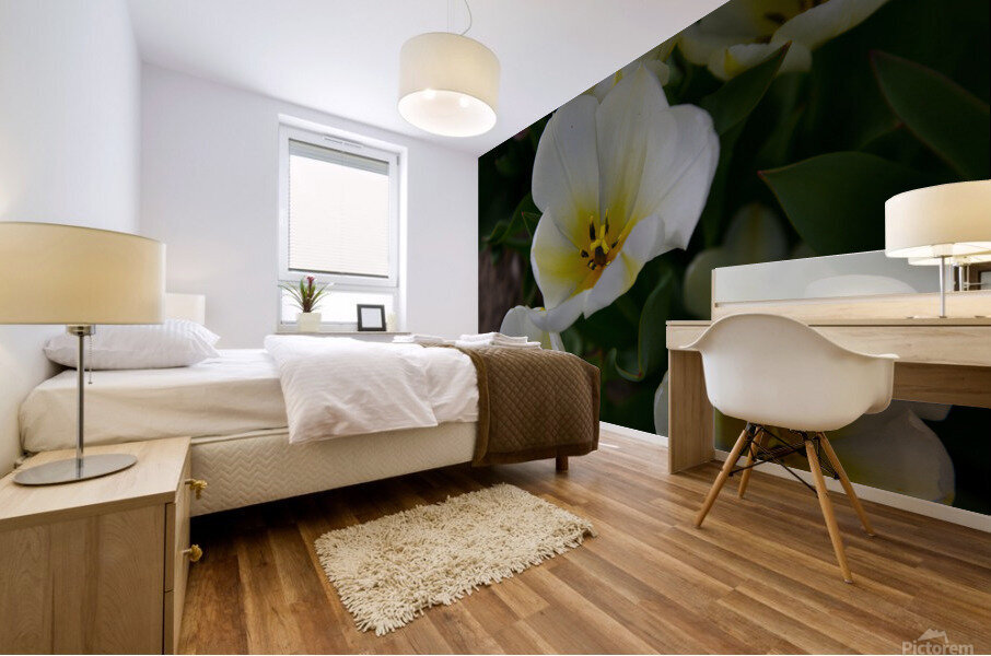 13120CDE 6318 4CF4 8150 C0F030A7166C Mural print