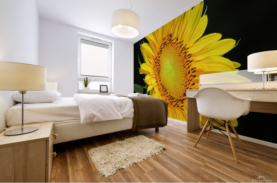 Sunflower Mural print