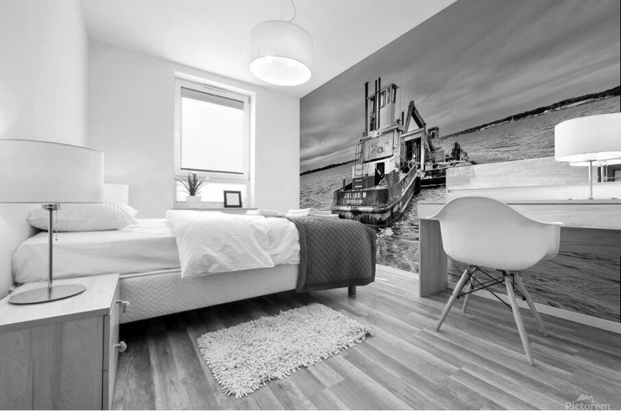 ECD5FB92 B6FA 4DC4 AF6D D05CACE9B15B Mural print