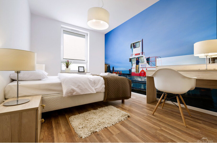 A59D6256 4D00 4544 8D76 46D64760D296 Mural print