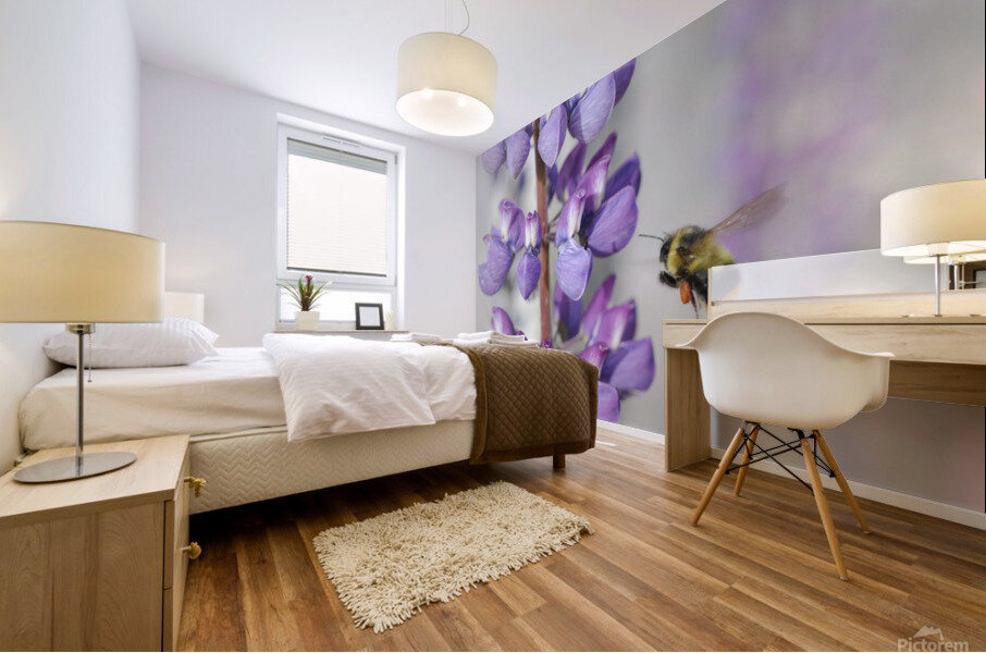 6DA728DD D5BE 4999 BCA9 05CE56D0B715 Mural print