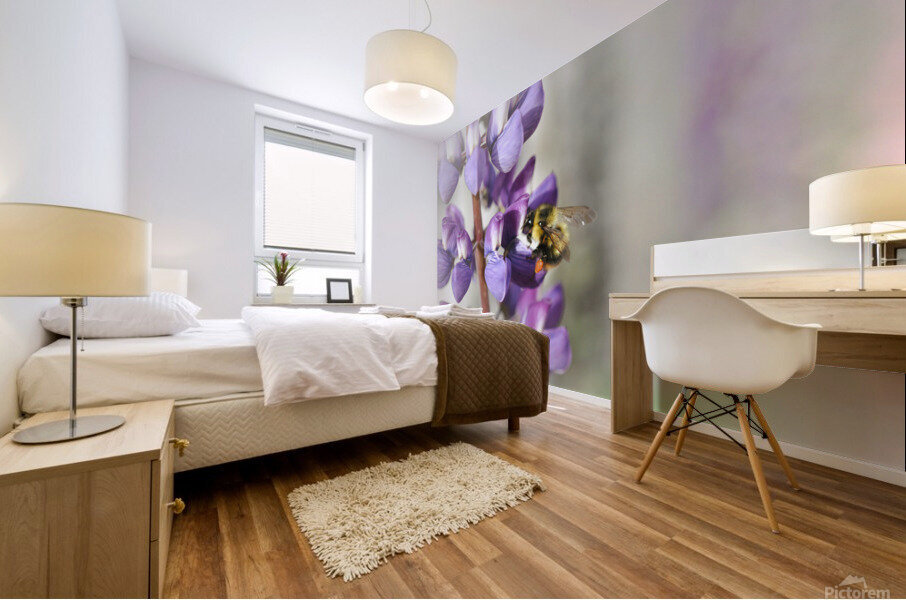 C7C17AC9 0B65 429C 8DB7 C6CEF130F4DC Mural print