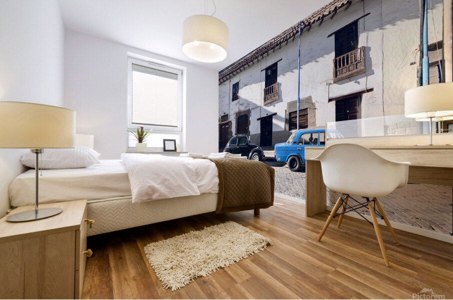 32152C83 7315 4478 9CC0 D9A369DAC80C Mural print