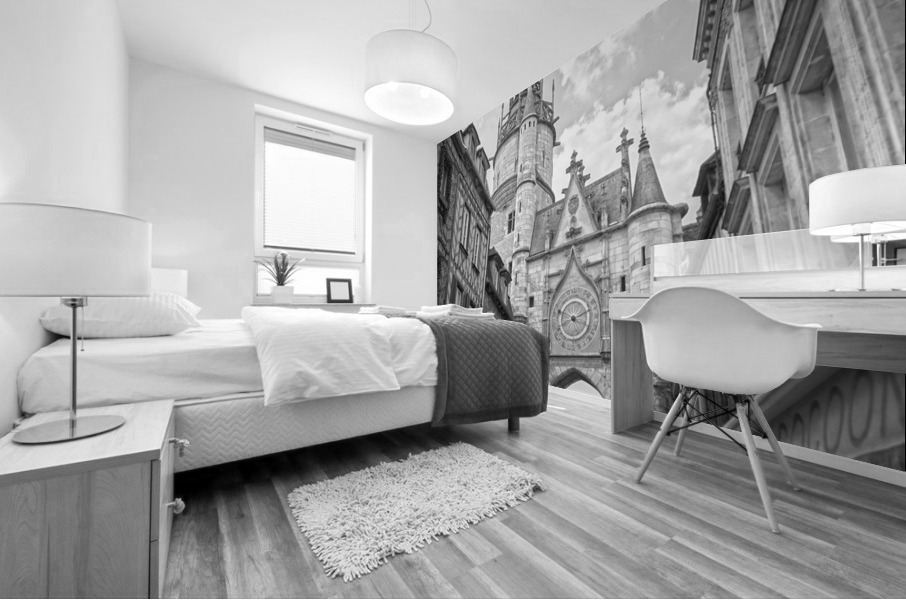 BW Auxerre France Snapshot in Time Mural print
