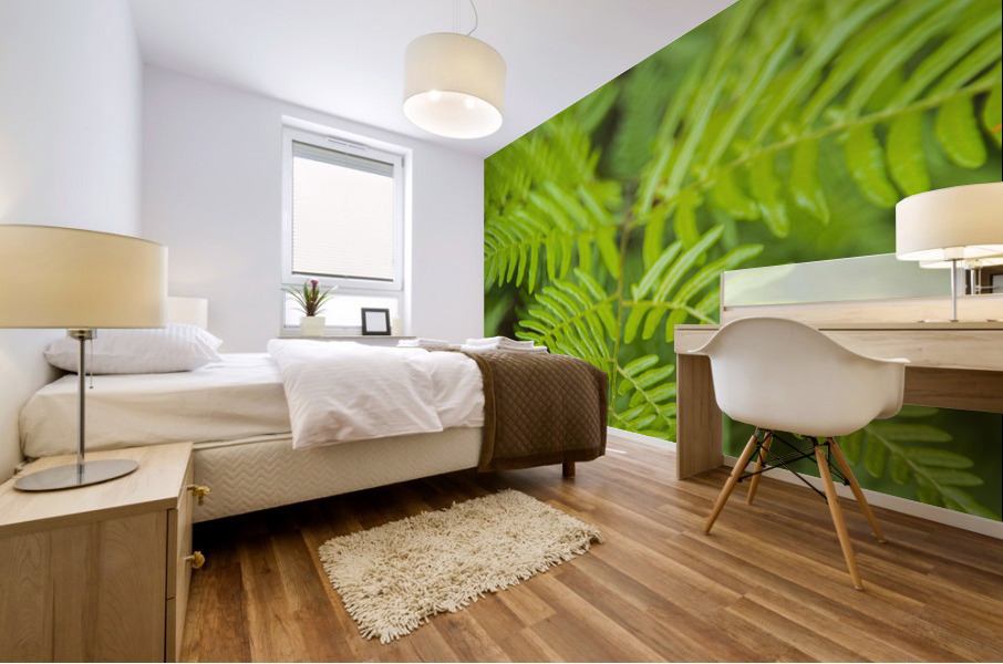 2022 May 22 Fern01 Mural print