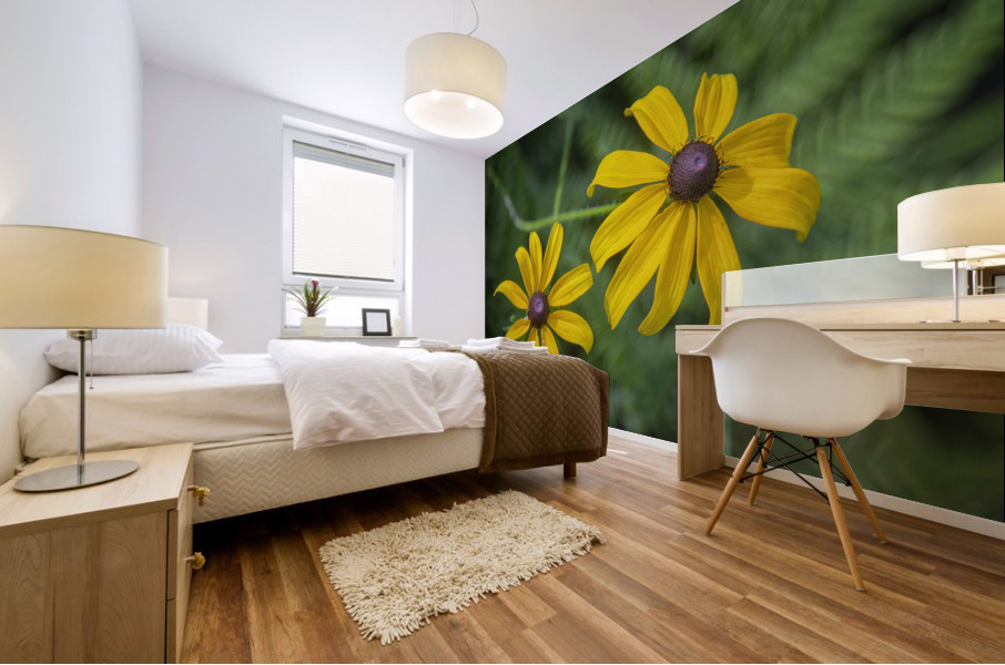 2022 May 29 BlackeyedSusan02 Mural print
