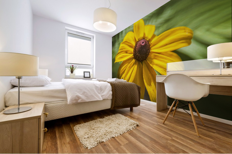 2022 May 29 BlackeyedSusan01 Mural print