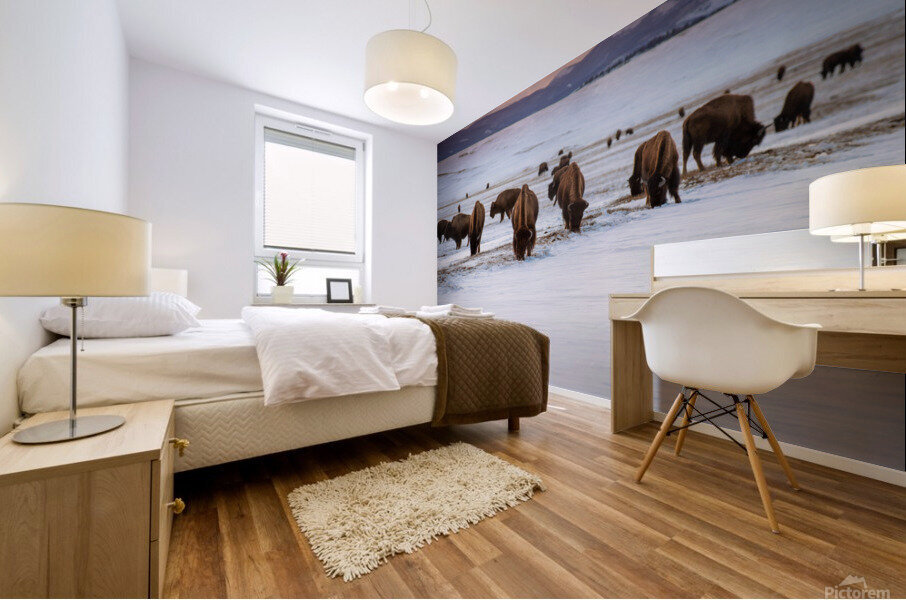 Buffalo in South Park Mural print