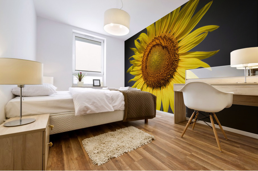  SUNFLOWER  Mural print