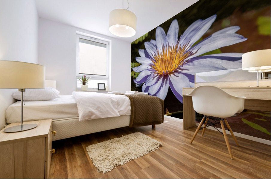 Water Lilies Mural print