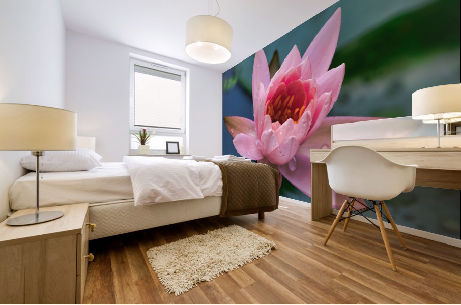   Water Lilies Mural print