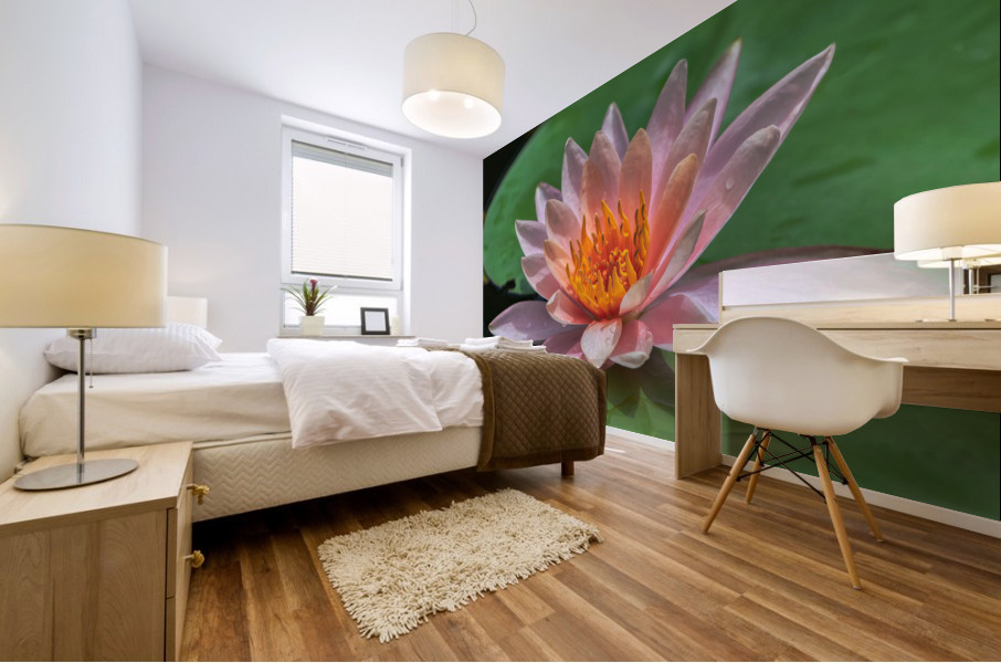   Water Lilies Mural print