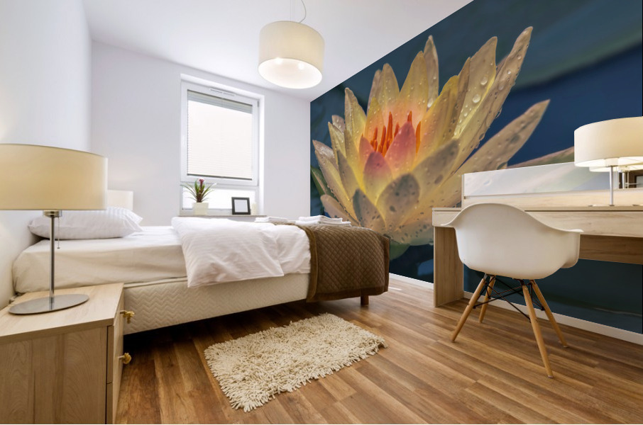 Water Lilies Mural print