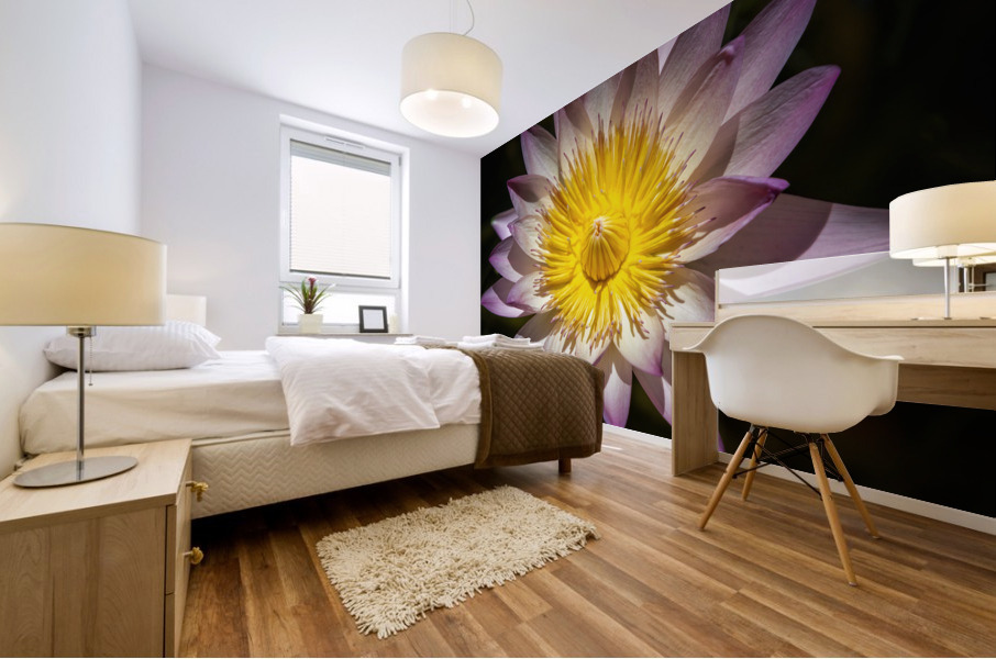    Water Lilies  Mural print