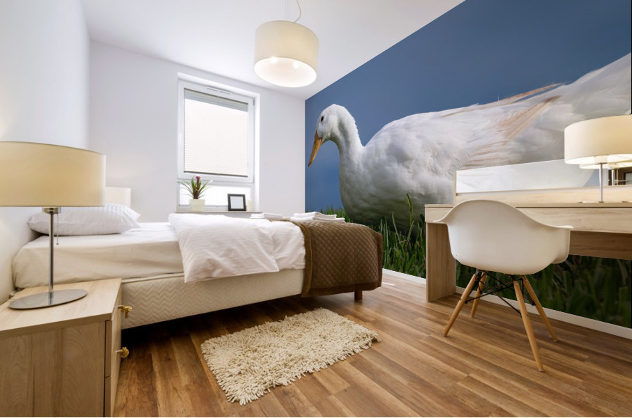 American Pekin Duck Mural print