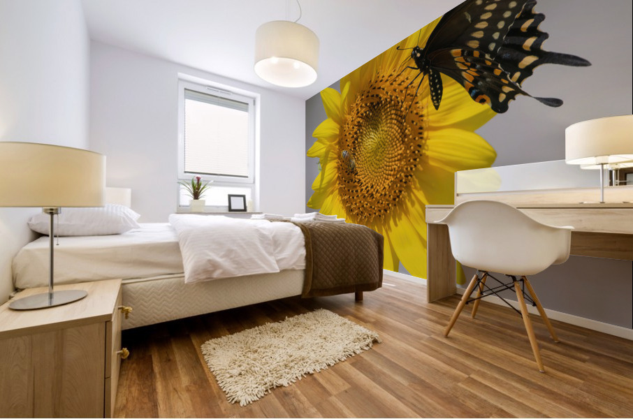 Sunflower & Butterfly Mural print