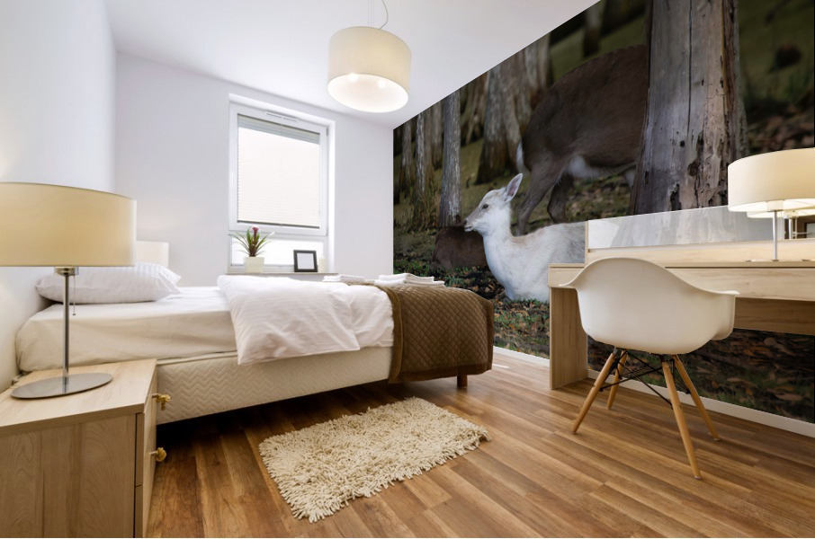 Cypress Forest Florida  Mural print